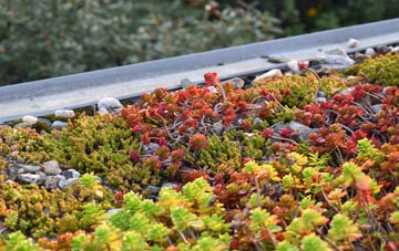 the cost of Forda green roof installation